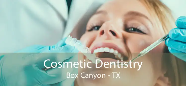 Cosmetic Dentistry Box Canyon - TX