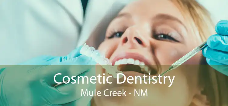 Cosmetic Dentistry Mule Creek - NM