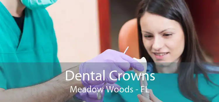 Dental Crowns Meadow Woods - FL
