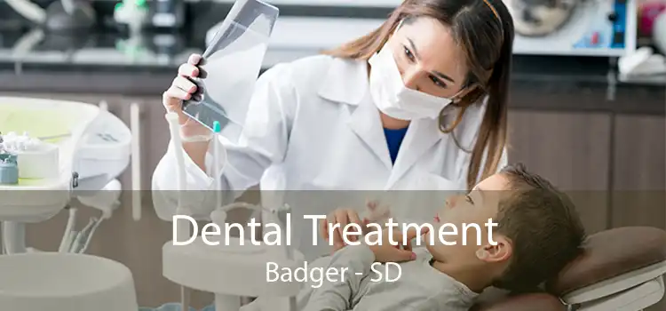 Dental Treatment Badger - SD