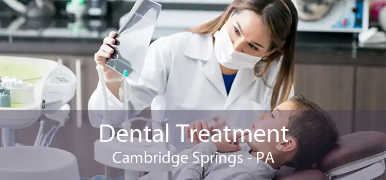 Dental Treatment Cambridge Springs - PA