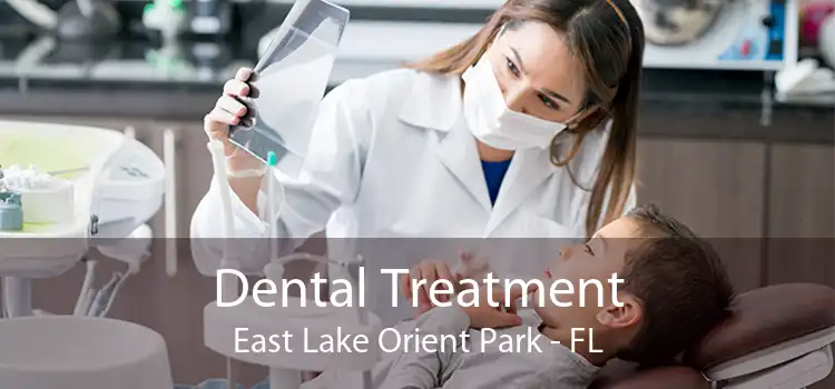 Dental Treatment East Lake Orient Park - FL