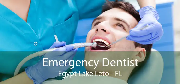 Emergency Dentist Egypt Lake Leto - FL