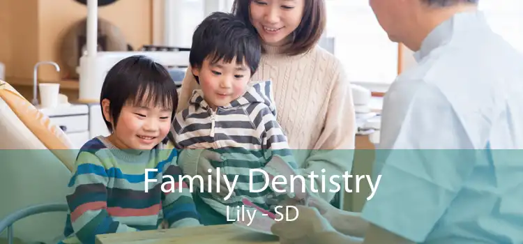 Family Dentistry Lily - SD