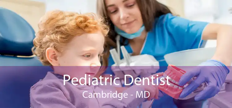 Pediatric Dentist Cambridge - MD