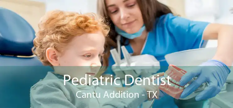 Pediatric Dentist Cantu Addition - TX