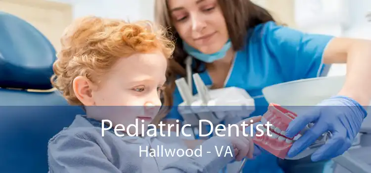 Pediatric Dentist Hallwood - VA