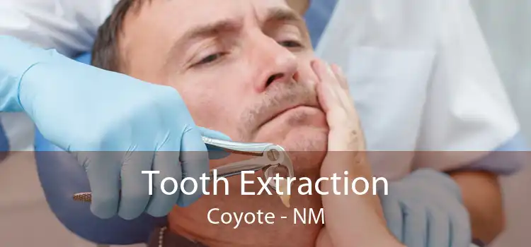 Tooth Extraction Coyote - NM