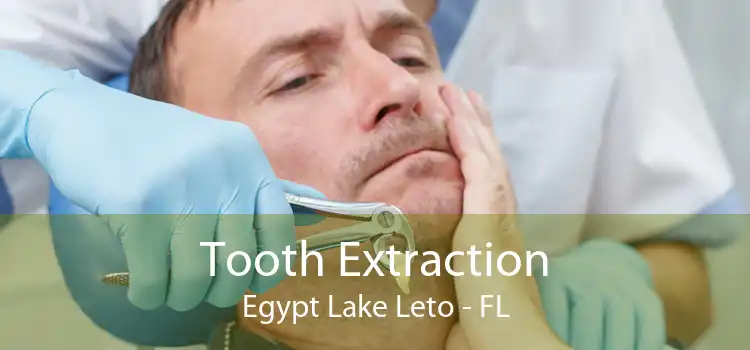 Tooth Extraction Egypt Lake Leto - FL