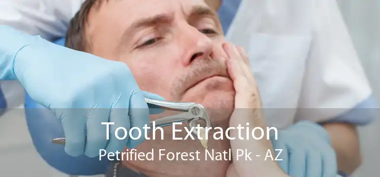 Tooth Extraction Petrified Forest Natl Pk - AZ