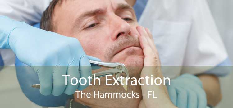 Tooth Extraction The Hammocks - FL